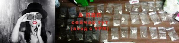 тгк Ессентукская