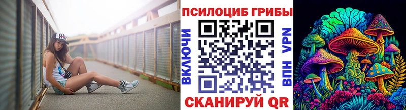 нарко площадка клад Североморск Псилоцибиновые грибы мухоморы даркнет сайт