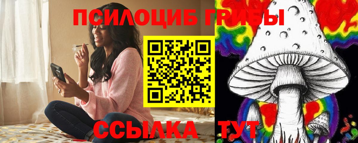 Псилоцибиновые грибы прущие грибы Североморск