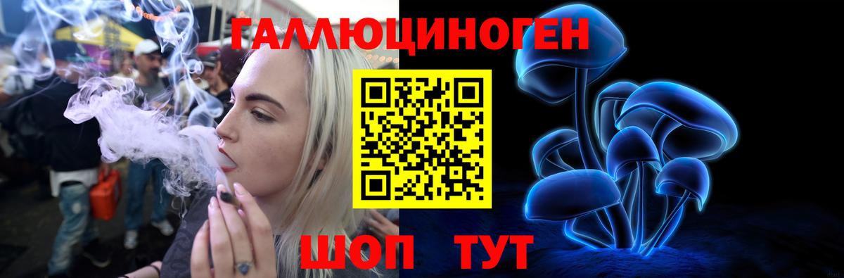 Псилоцибиновые грибы мицелий Североморск